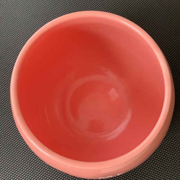 BRAND NEW RAE DUNN PLANTER - Picture 2 of 2